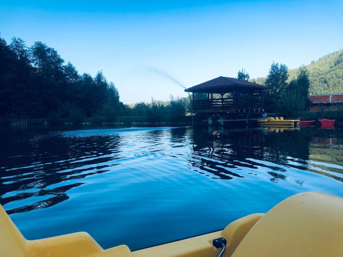 Vila Roca Hotel And Spa Valea Drăganului Exteriér fotografie